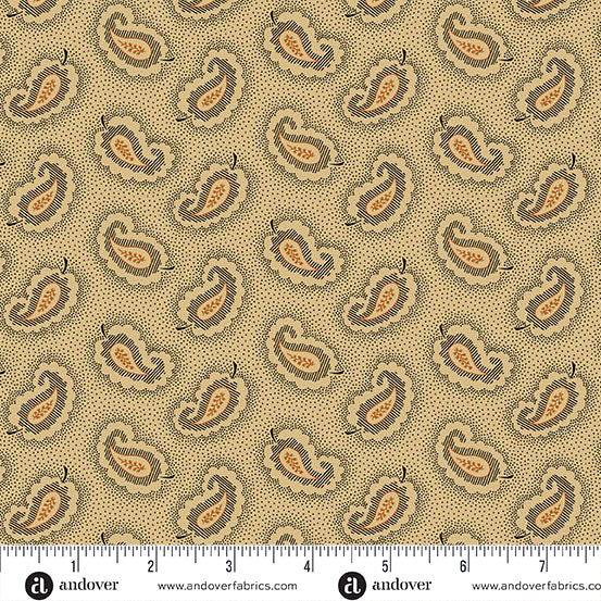 Andover Carolina A5314 K Black Paisley By The Yard