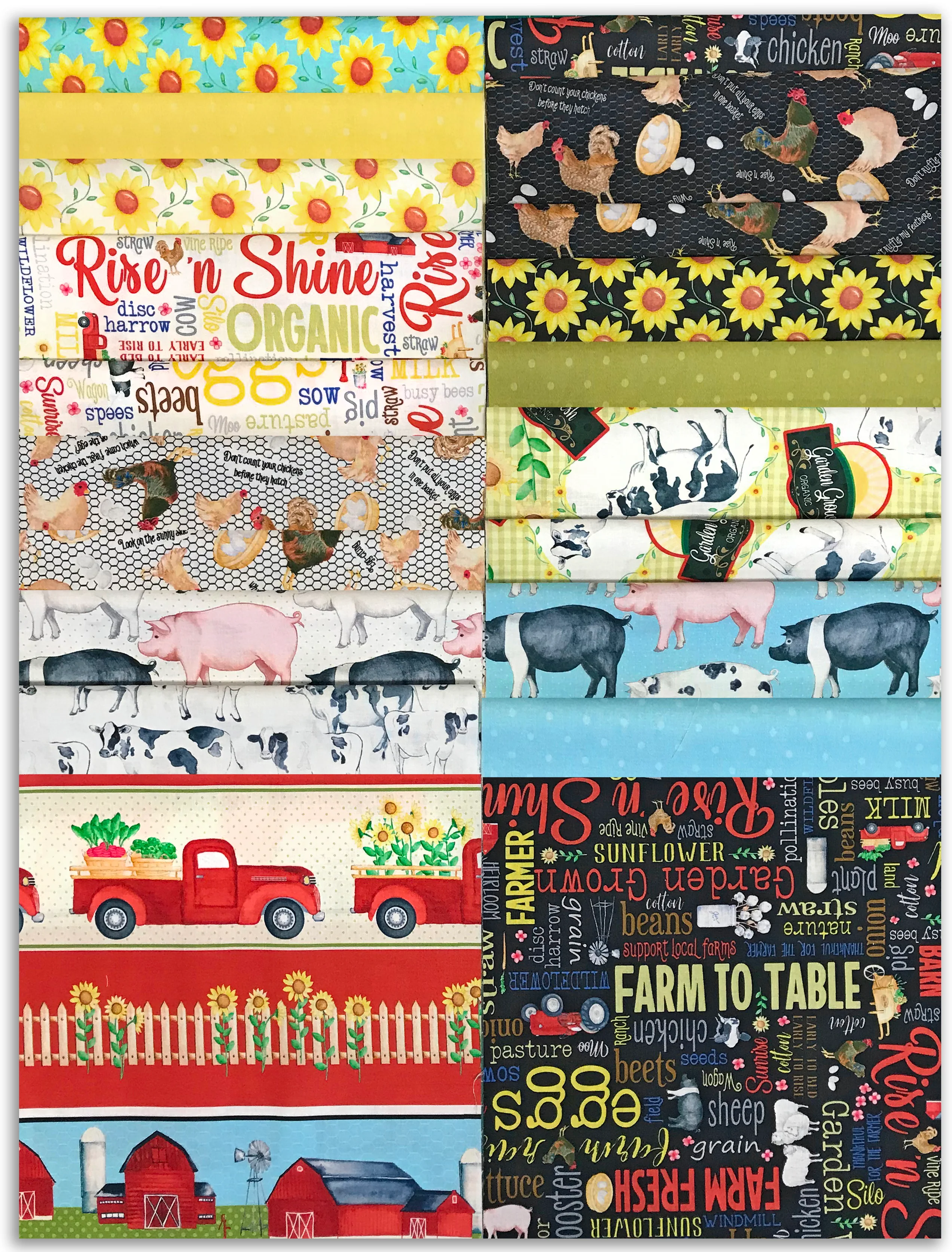 Kanvas Studios Pre-Cut 40 Piece 10" Layer Cake Squares - Rise n' Shine