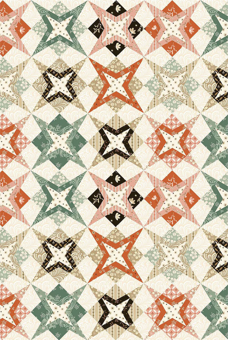 Riley Blake Morning Latte C16929 Multi Cheater Print By The Yard