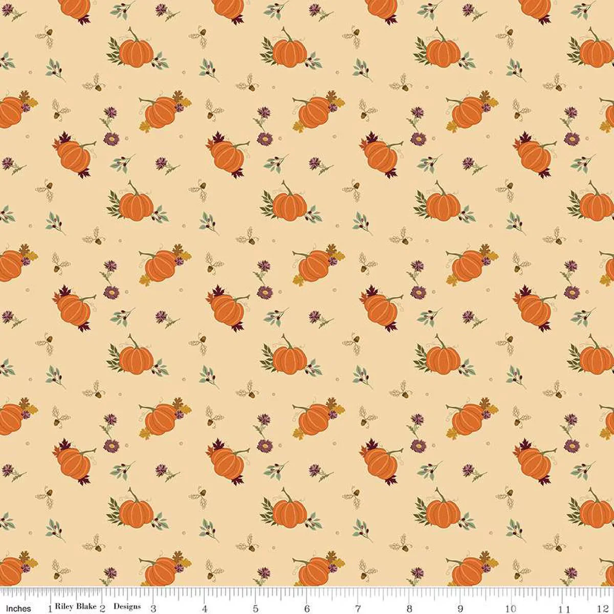 Riley Blake The Awe of Autumn C16192 Latte Pumpkins By The Yard